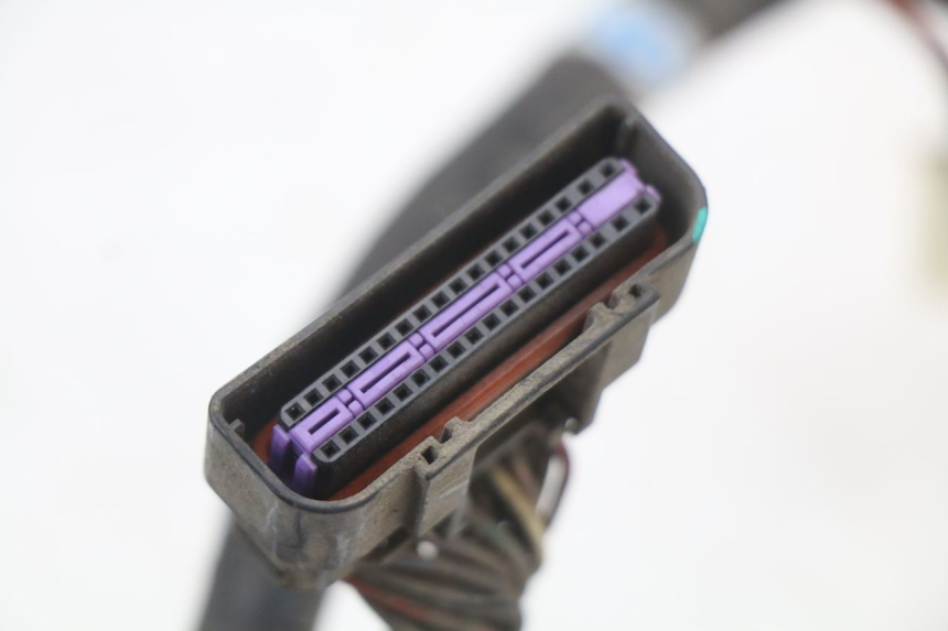 photo de Wiring harness KYMCO XCITING 250 (2006 - 2009) - Gros plan technique