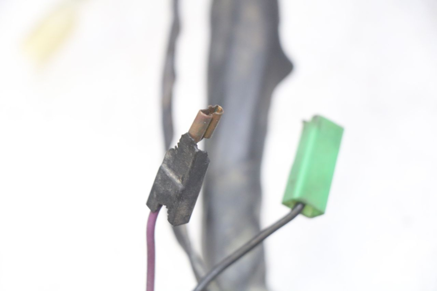 photo de FAISCEAU PIAGGIO XEVO - X EVO 125 (2007 - 2017) - Détail de la pièce