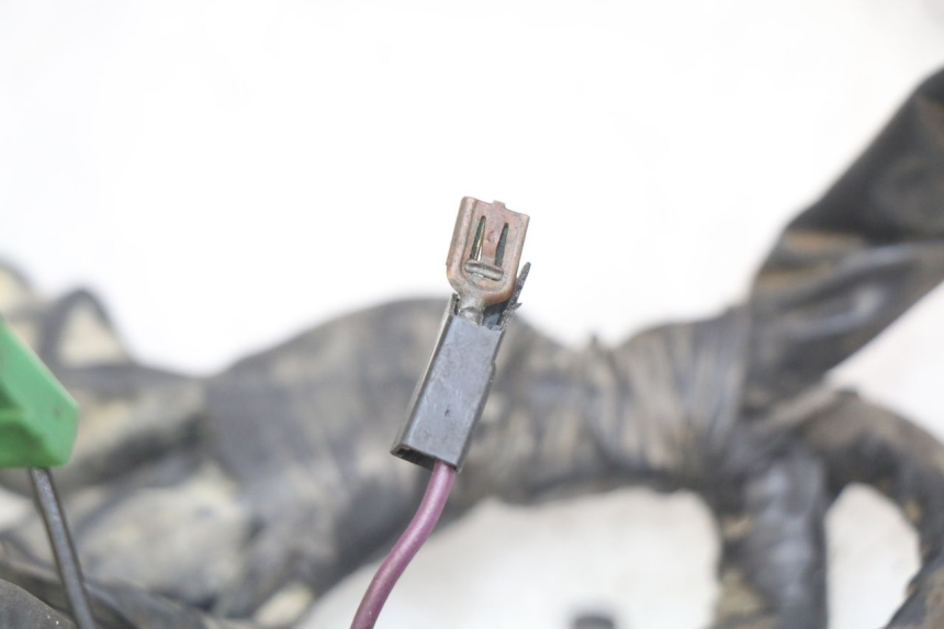 photo de FAISCEAU PIAGGIO XEVO - X EVO 125 (2007 - 2017) - Zoom état d’usage