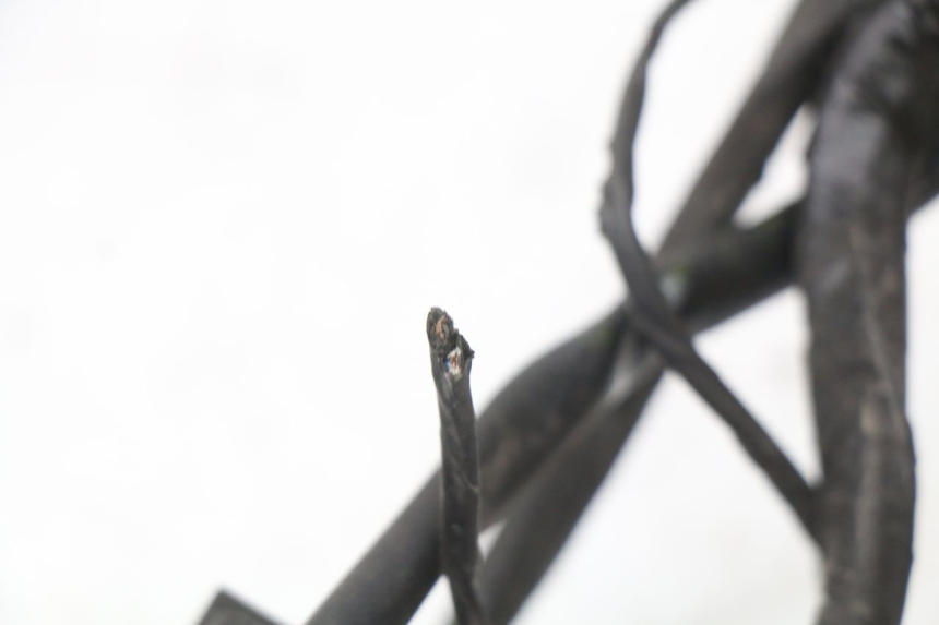 photo de FAISCEAU PIAGGIO XEVO - X EVO 125 (2007 - 2017) - Vue produit