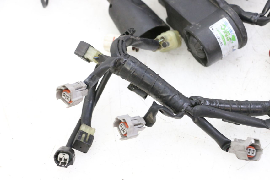 photo de FAISCEAU YAMAHA XJ6 ABS 600 (2008 - 2016) - Angle alternatif