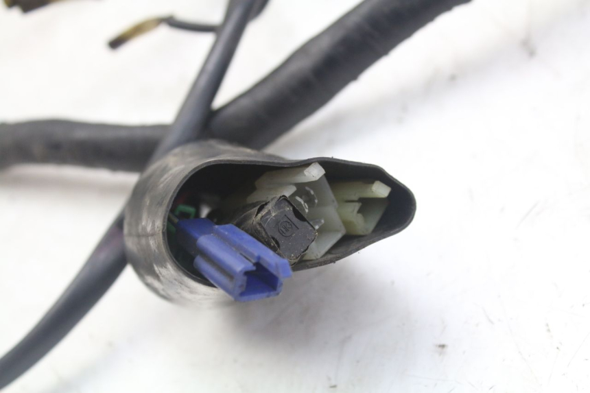 photo de FAISCEAU YAMAHA XJN DIVERSION 600 (2000 - 2003) - Détail de la pièce