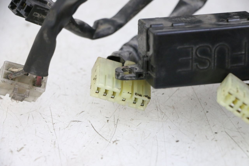 photo de FAISCEAU YAMAHA XJN DIVERSION 600 (2000 - 2003) - Détails caractéristiques