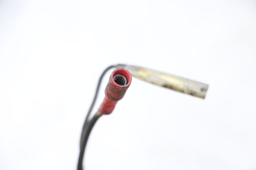 photo de FAISCEAU YAMAHA XJN DIVERSION 600 (2000 - 2003) - Vue d’ensemble