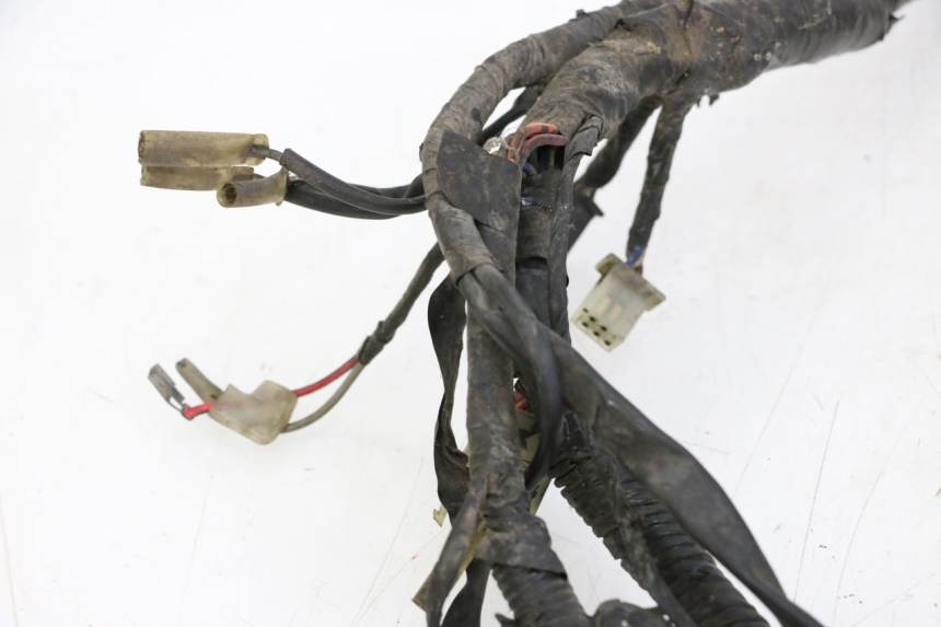 photo de FAISCEAU YAMAHA XJN DIVERSION 600 (2000 - 2003) - Marquages et références