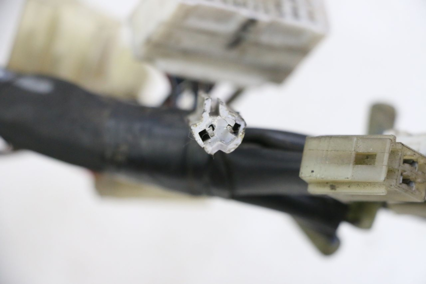 photo de FAISCEAU YAMAHA FZ6 FAZER S2 600 (2007 - 2011) - Vue d’ensemble