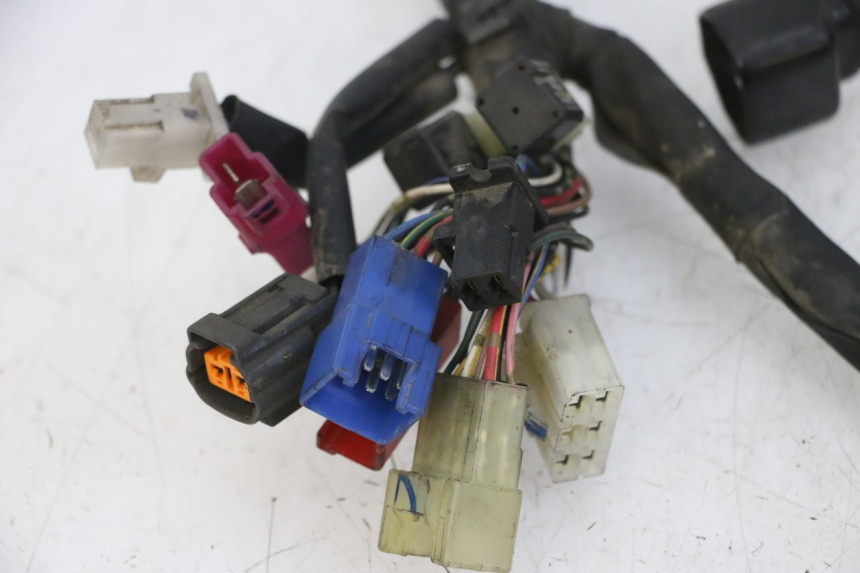 photo de FAISCEAU YAMAHA FZS FAZER 600 (2001 - 2003) - Gros plan technique