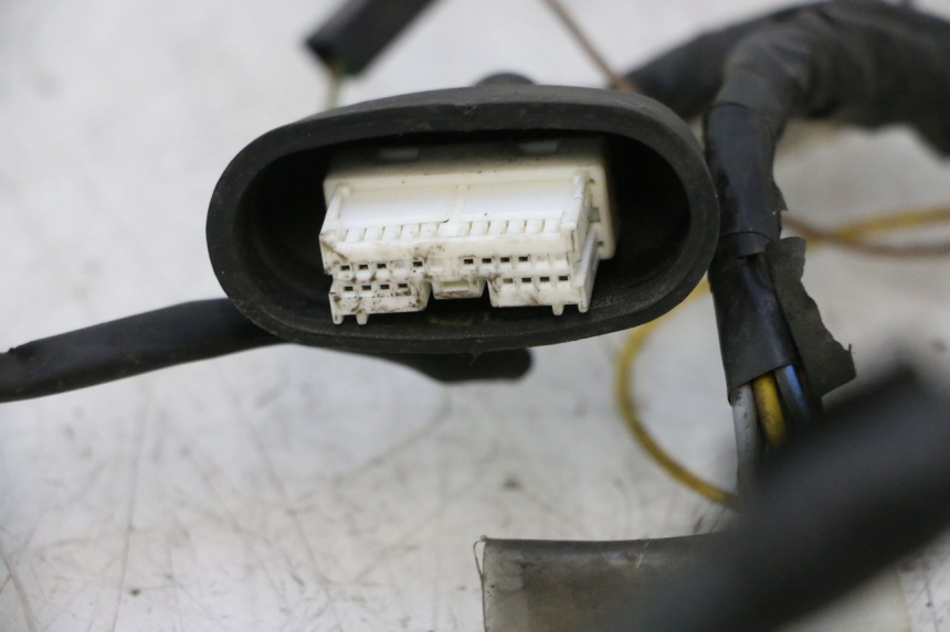 photo de FAISCEAU YAMAHA YP MAJESTY 125 (2002 - 2006) - Vue rapprochée