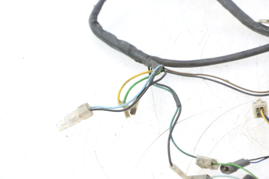 photo de FAISCEAU YAMAHA YP MAJESTY 125 (2002 - 2006) - Vue principale