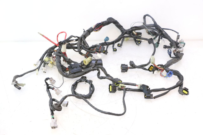 photo de FAISCEAU YAMAHA YZF R6 600 (2008 - 2009) - Vue principale