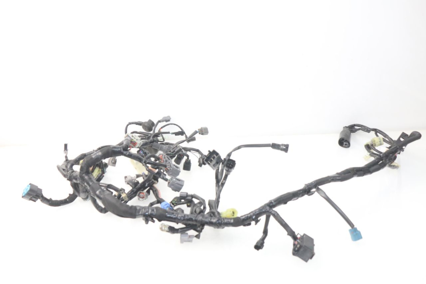 photo de FAISCEAU KAWASAKI Z Z900 900 (2017 - 2019) - Inspection visuelle