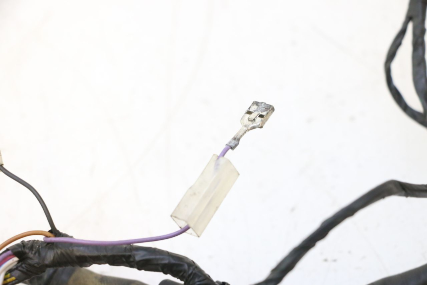 photo de FAISCEAU PIAGGIO ZIP 2T 50 (2009 - 2019) - Vue d’ensemble