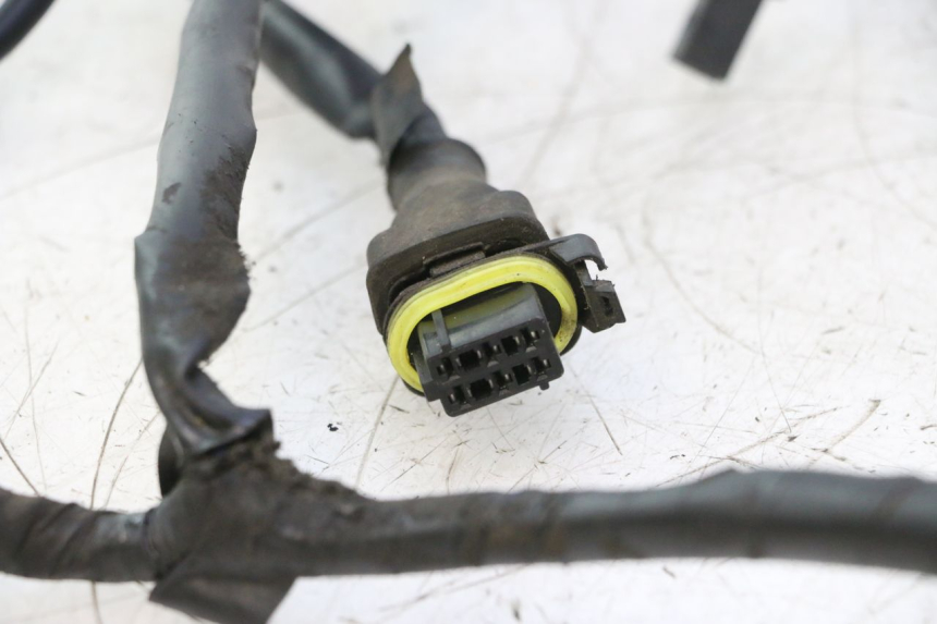 photo de FAISCEAU PIAGGIO ZIP 2T 50 (2009 - 2019) - Détails caractéristiques