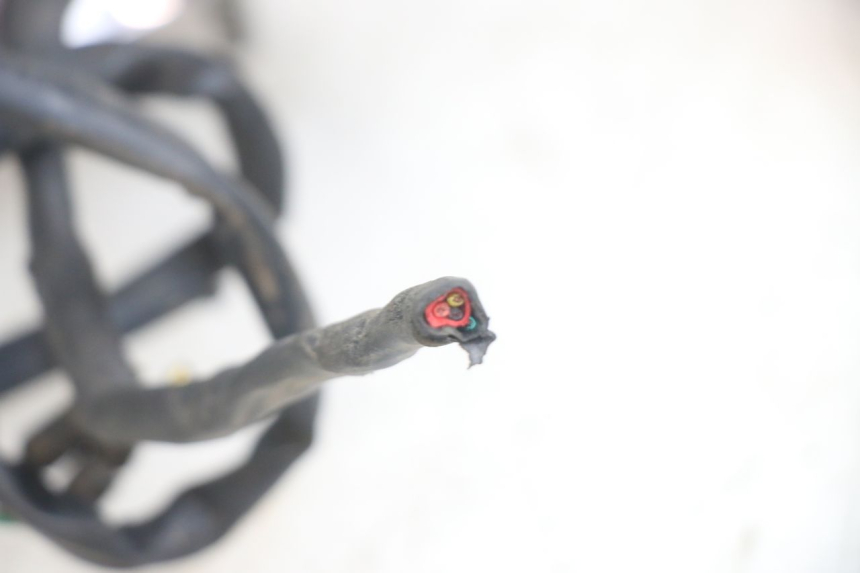 photo de FEU ARRIERE HONDA CA REBEL 125 (1995 - 2001) - Points de fixation