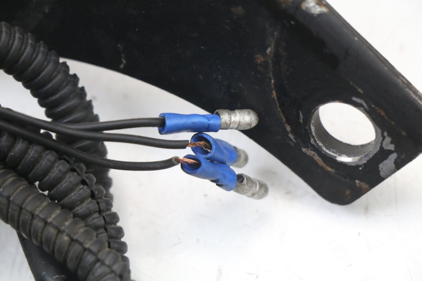 photo de FEU ARRIERE HARLEY DAVIDSON SPORTSTER XL CUSTOM 1200 (2003 - 2004) - Points de fixation