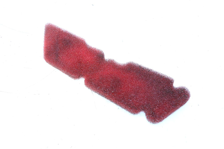 photo de FILTRE A AIR PIAGGIO ZIP 2T 50 (2009 - 2019) - Zoom état d’usage