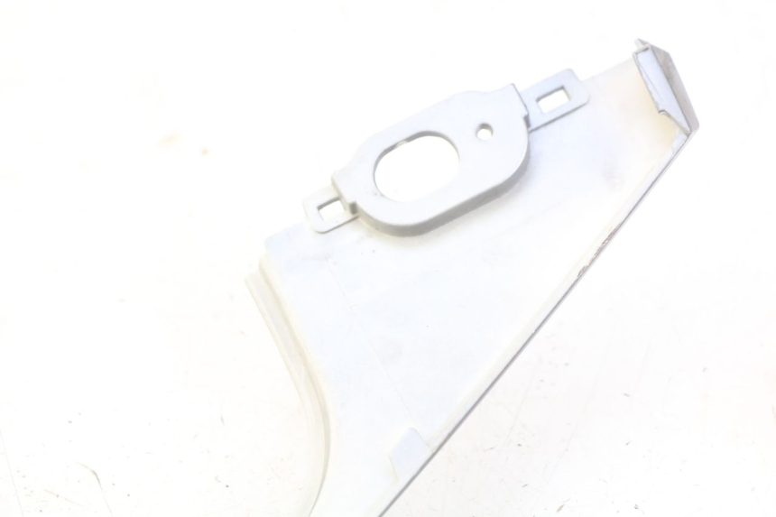 photo de FLANC ARRIERE DROIT JM MOTORS EVOLIS 4T 50 (2018 - 2022) - Détail de la pièce