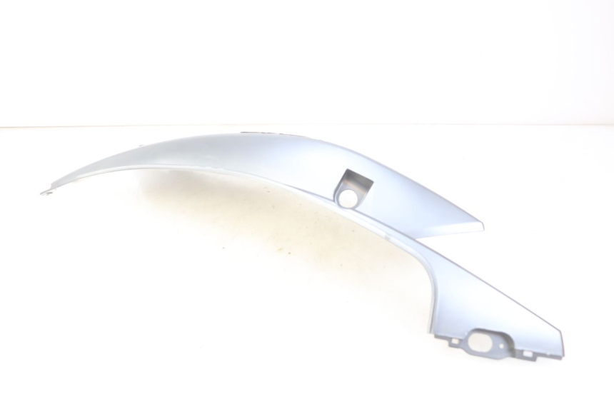 photo de FLANC ARRIERE DROIT JM MOTORS EVOLIS 4T 50 (2018 - 2022) - Gros plan technique