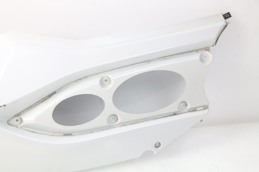 photo de FLANC ARRIERE DROIT DAELIM S3 125 (2010 - 2017) - Zoom composants