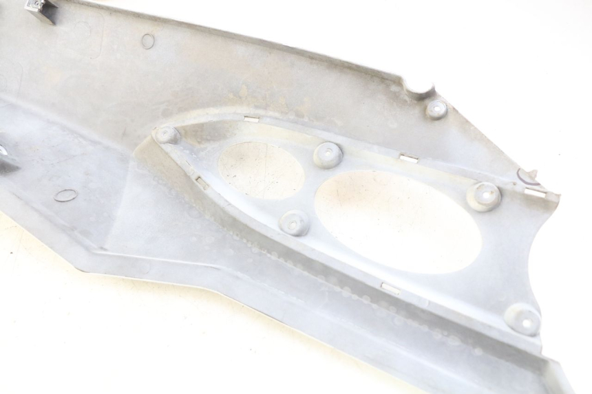 photo de FLANC ARRIERE DROIT DAELIM S3 125 (2010 - 2017) - Détail de la pièce