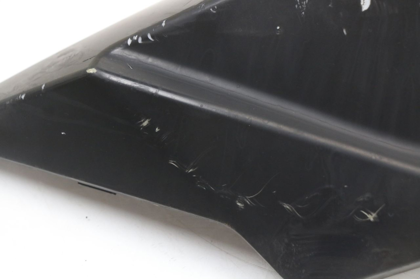 photo de FLANC ARRIERE GAUCHE LONGJIA EASY MAX 125 (2020 - 2024) - Vue produit