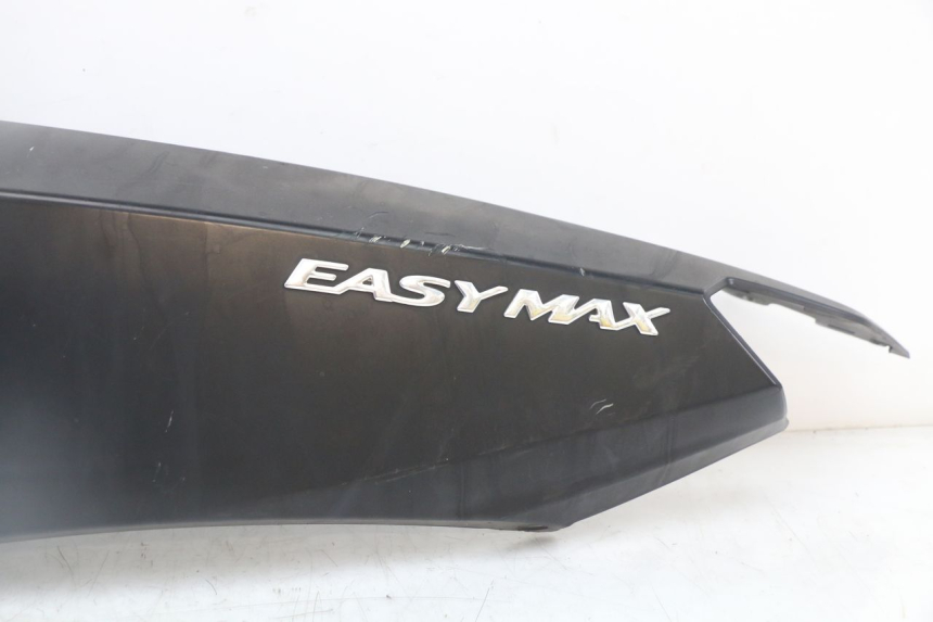 photo de FLANC ARRIERE GAUCHE LONGJIA EASY MAX 125 (2020 - 2024) - Autre angle de vue