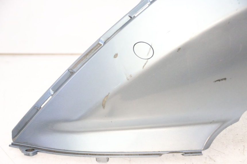 photo de FLANC ARRIERE GAUCHE DAELIM HISTORY 125 (2001 - 2002) - Zoom composants