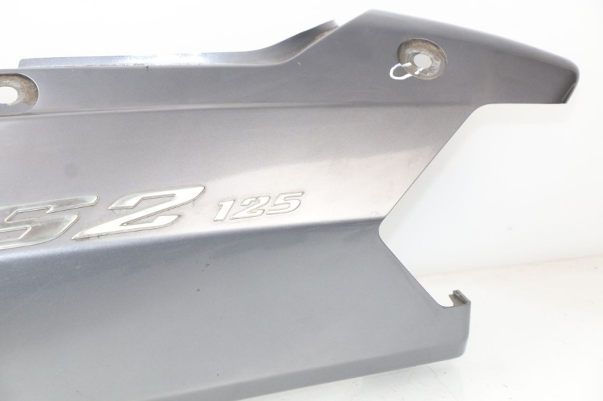 photo de FLANC ARRIERE GAUCHE DAELIM S2 125 (2006 - 2007) - Focus structure