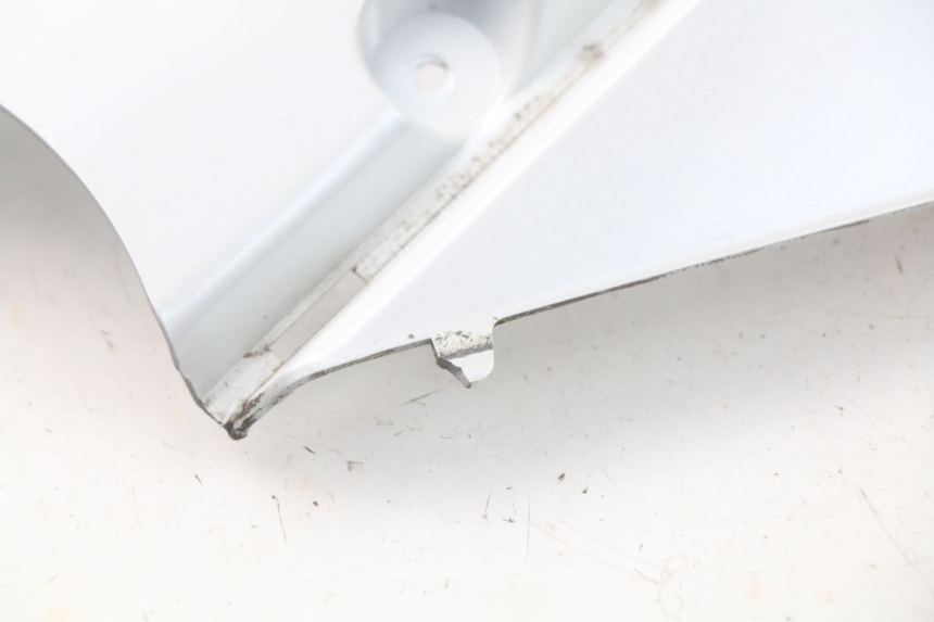 photo de FLANC ARRIERE GAUCHE DAELIM S3 125 (2010 - 2017) - Vue produit