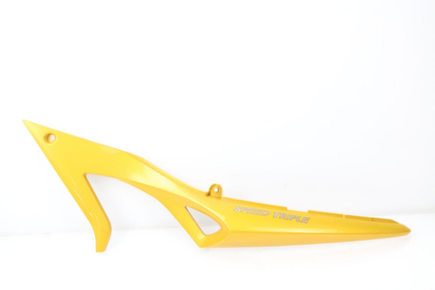 photo de FLANC ARRIERE GAUCHE TRIUMPH SPEED TRIPLE 1050 (2005 - 2007) - Vue principale