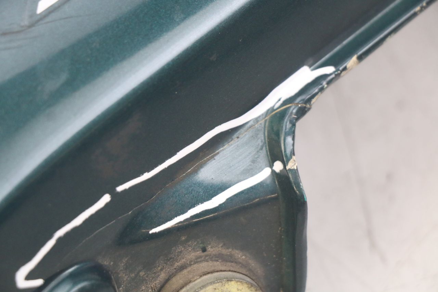 photo de FLANC ARRIERE GAUCHE TRIUMPH SPRINT ST 955 (1999 - 2001) - Détails caractéristiques