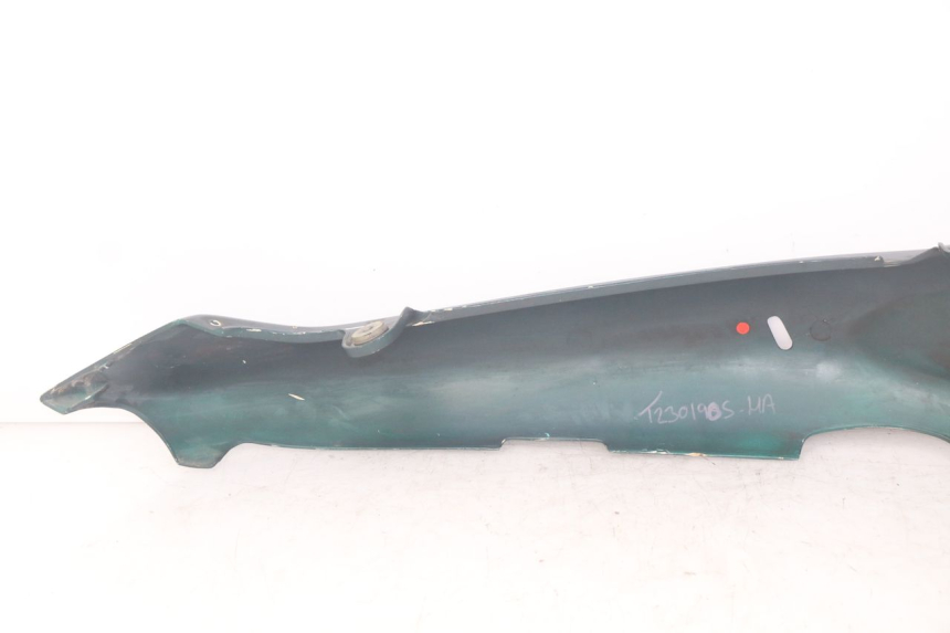 photo de FLANC ARRIERE GAUCHE TRIUMPH SPRINT ST 955 (1999 - 2001) - Gros plan technique