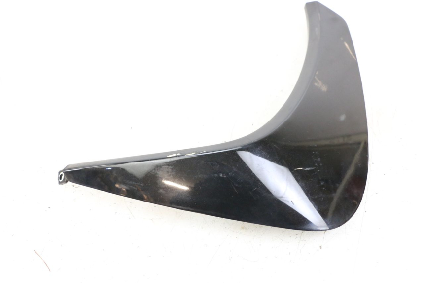 photo de Side panel front right PEUGEOT GEOPOLIS RS 125 (2007 - 2009) - Gros plan technique