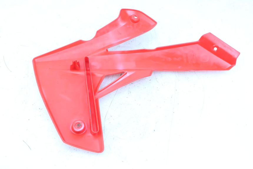 photo de FLANC LATERAL AVANT DROIT RIEJU MRT 50 (2018 - 2021) - Détail de la pièce