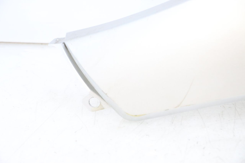 photo de FLANC LATERAL AVANT GAUCHE PEUGEOT CITYSTAR 2T 50 (2018 - 2021) - Zoom qualité