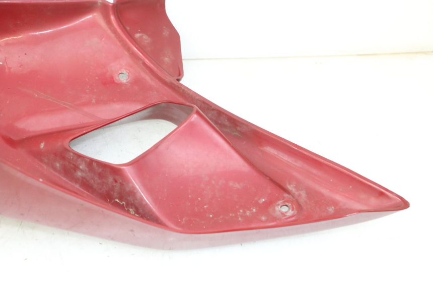 photo de FLANC LATERAL AVANT GAUCHE TRIUMPH SPRINT 900 (1995 - 1998) - Vue d’ensemble