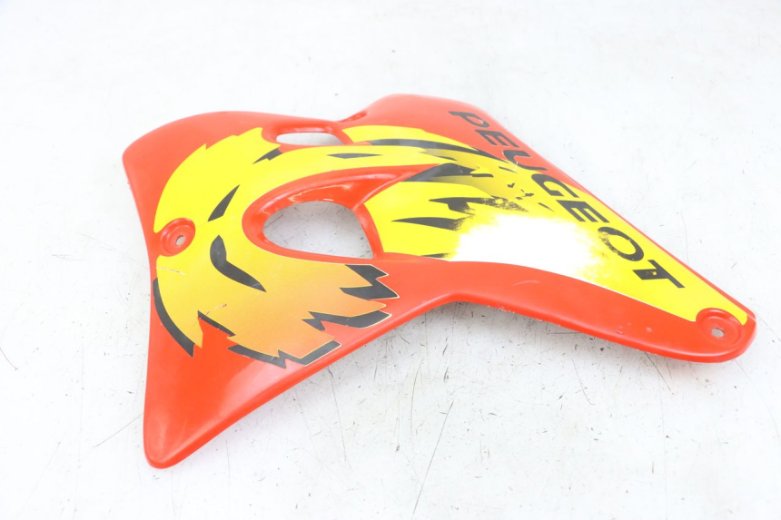 photo de FLANC LATERAL AVANT GAUCHE PEUGEOT XP6 50 (1997 - 2003) - Zoom état d’usage