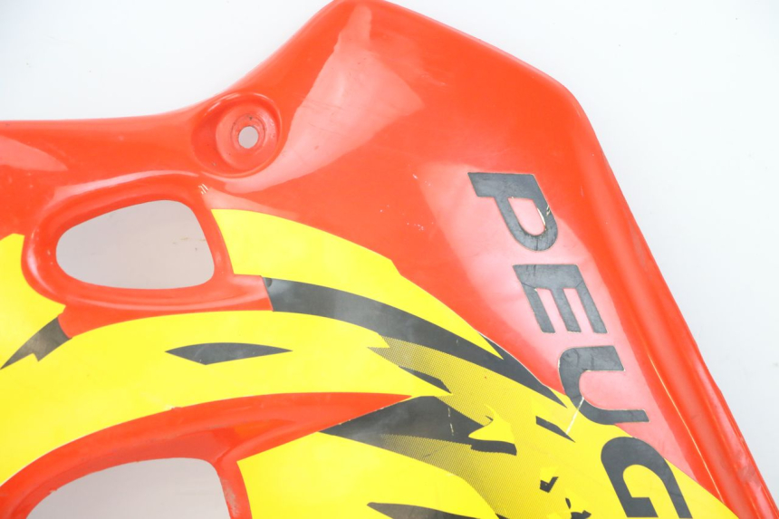 photo de FLANC LATERAL AVANT GAUCHE PEUGEOT XP6 50 (1997 - 2003) - État de surface