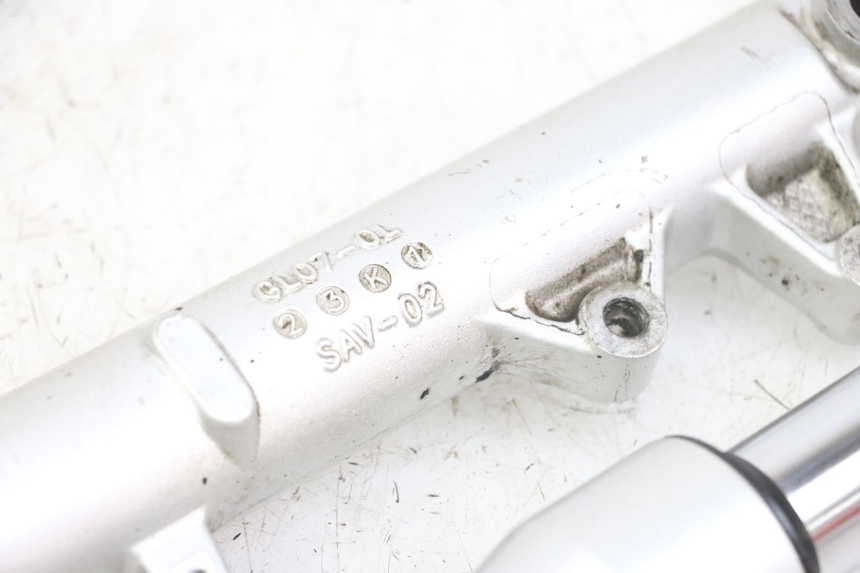 photo de FOURREAU FOURCHE PIAGGIO LIBERTY IGET 4T 50 (2021 - 2025) - Vue d’ensemble