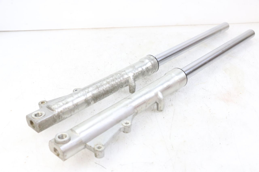 photo de FOURREAU FOURCHE REGAL RAPTOR RAXTER 2 125 (2007 - 2015) - Vue principale