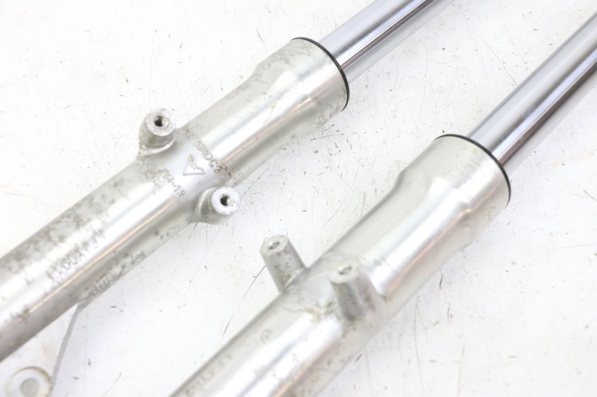 photo de FOURREAU FOURCHE REGAL RAPTOR RAXTER 2 125 (2007 - 2015) - Zoom état d’usage