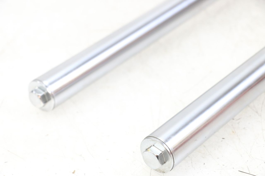 photo de FOURREAU FOURCHE REGAL RAPTOR RAXTER 2 125 (2007 - 2015) - Pièce contrôlée