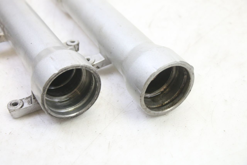 photo de FOURREAU FOURCHE PEUGEOT SATELIS 250 (2006 - 2012) - Vue d’ensemble