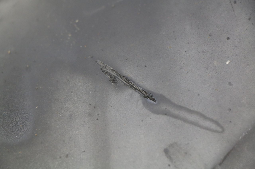 photo de GARDE BOUE ARRIERE HONDA FORZA 125 (2015 - 2016) - Détail de la pièce