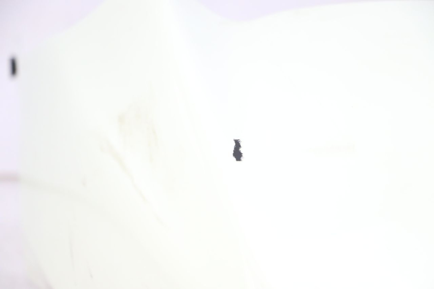 photo de GARDE BOUE AVANT BMW C1 125 (2000 - 2003) - Vue rapprochée