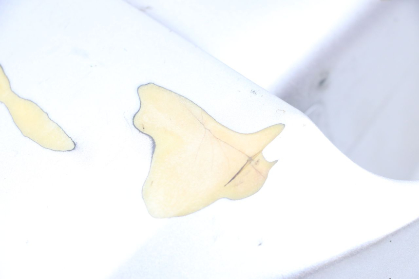 photo de Front fender HYOSUNG GF 125 (2001 - 2005) - Zoom état d’usage