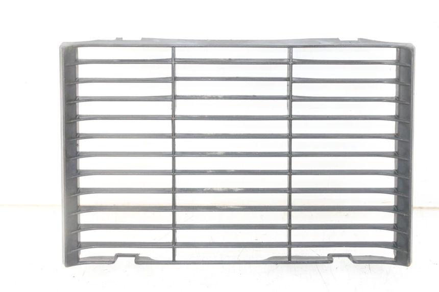 photo de GRILLE RADIATEUR HONDA CBF 500 (2004 - 2007) - Vue principale
