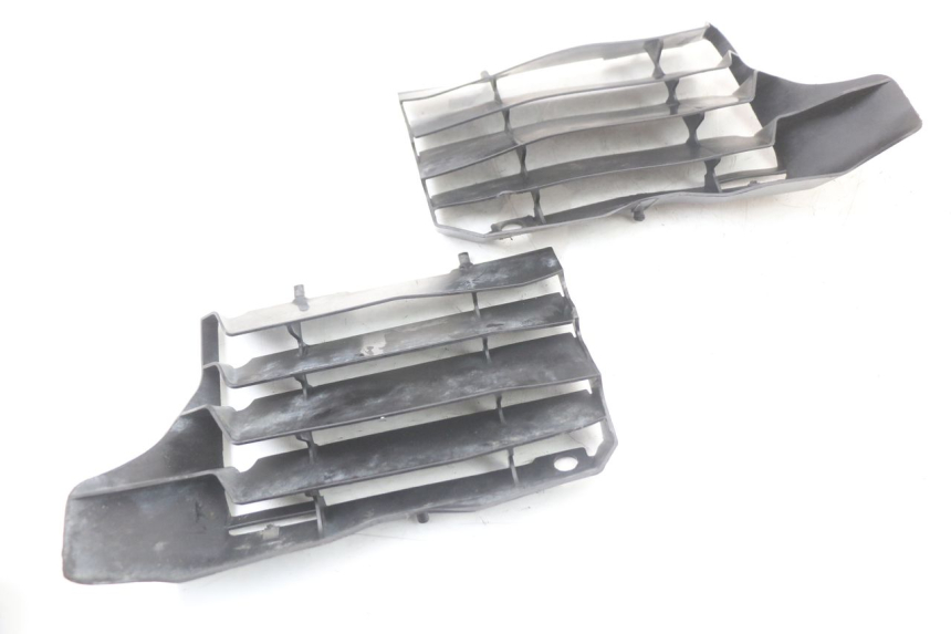 photo de GRILLE RADIATEUR HONDA CRF R 250 (2020 - 2021) - Détail de la pièce