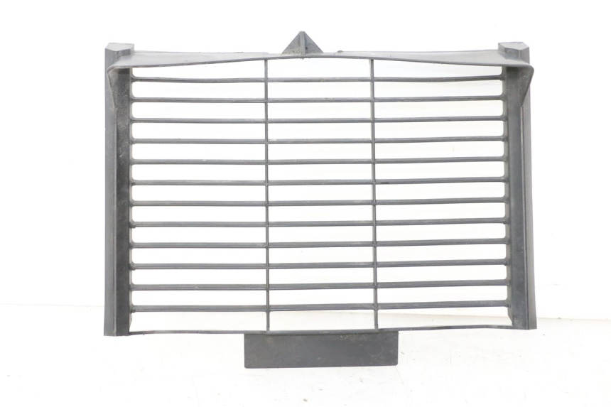 photo de GRILLE RADIATEUR YAMAHA FZ6 FAZER S2 600 (2007 - 2011) - Vue principale