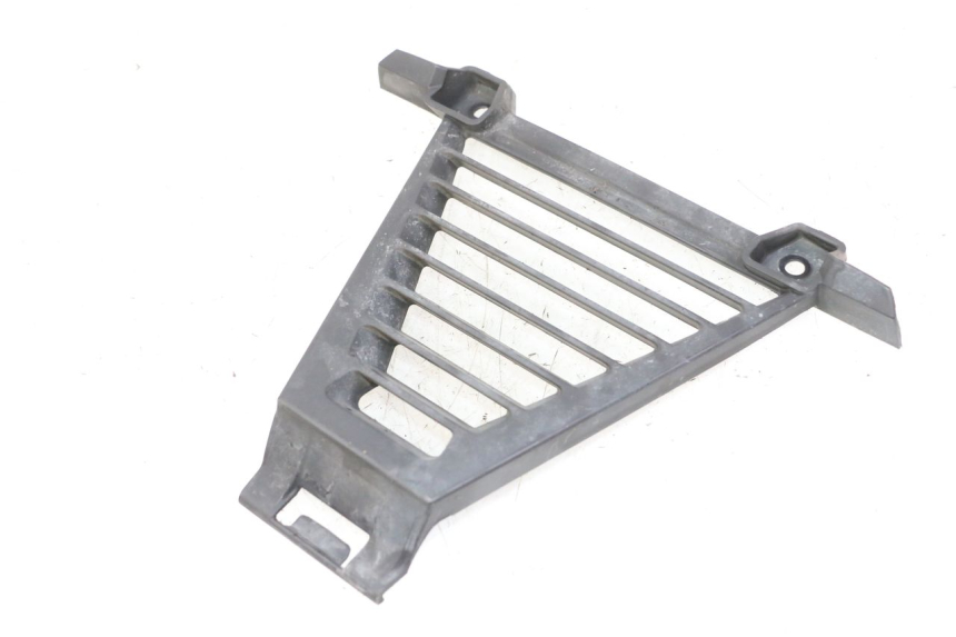 photo de GRILLE RADIATEUR BMW G310 R 310 (2016 - 2020) - Vue principale